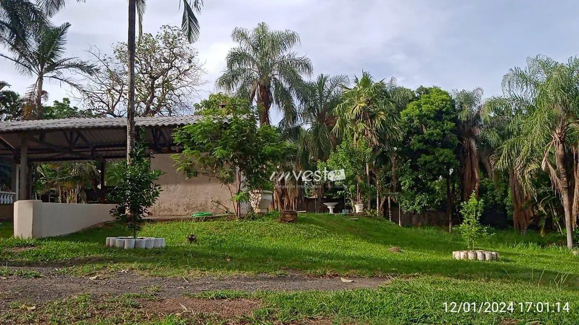 Foto 9 de Chácara com 3 quartos à venda, 6000m2 em Centro, Mirassol - SP