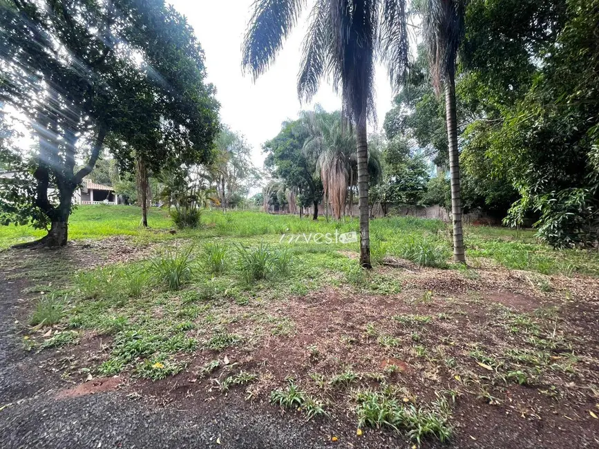 Foto 8 de Terreno / Lote à venda, 2000m2 em Centro, Mirassol - SP
