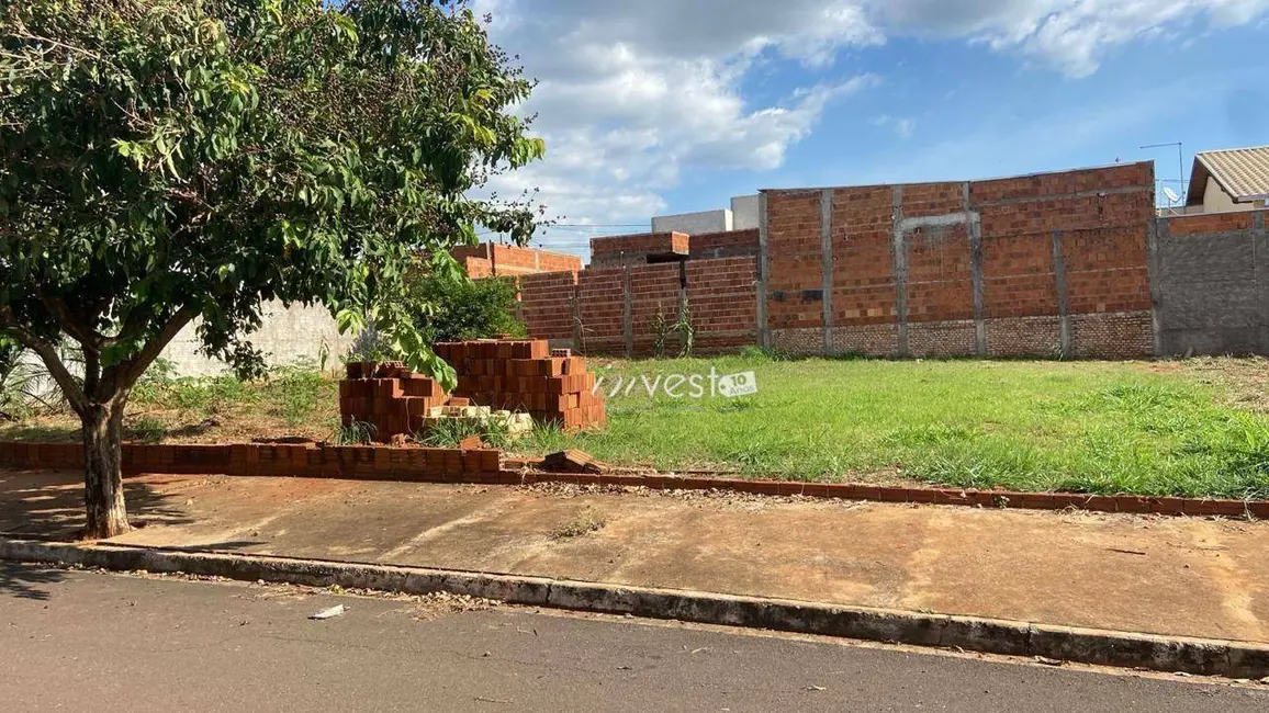 Foto 3 de Terreno / Lote à venda, 200m2 em Centro, Mirassol - SP