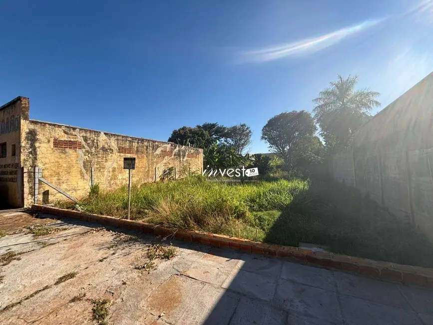 Foto 3 de Terreno / Lote à venda, 250m2 em Centro, Mirassol - SP