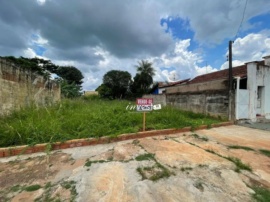 Foto 6 de Terreno / Lote à venda, 240m2 em Centro, Mirassol - SP