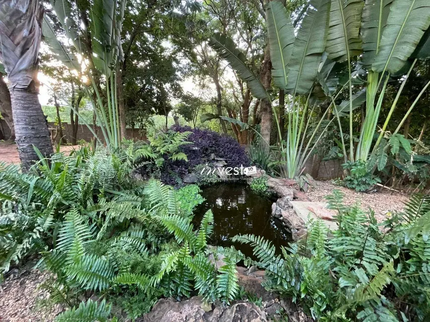 Casa com 2 quartos à venda, 450m2 em Centro, Mirassol - SP - imagem 9 Foto 9 de Casa com 2 quartos à venda, 450m2 em Centro, Mirassol - SP