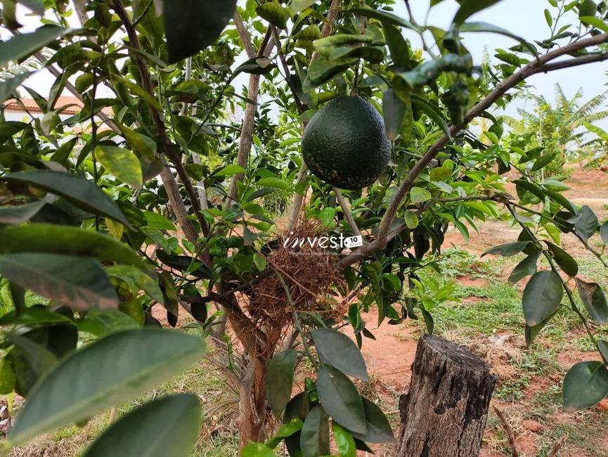 Foto 14 de Chácara à venda, 900m2 em Ibira - SP