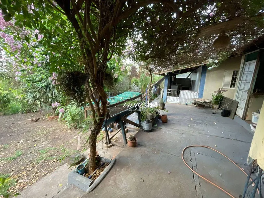 Foto 5 de Chácara com 3 quartos à venda, 4850m2 em Centro, Mirassol - SP