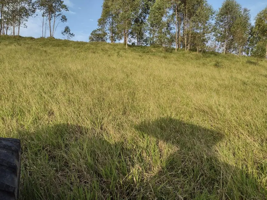 Foto 3 de Sítio / Rancho à venda, 12000m2 em Centro, Piracaia - SP