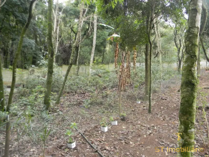 Foto 4 de Chácara com 5 quartos à venda, 2220m2 em Estância Santa Maria do Portão, Atibaia - SP