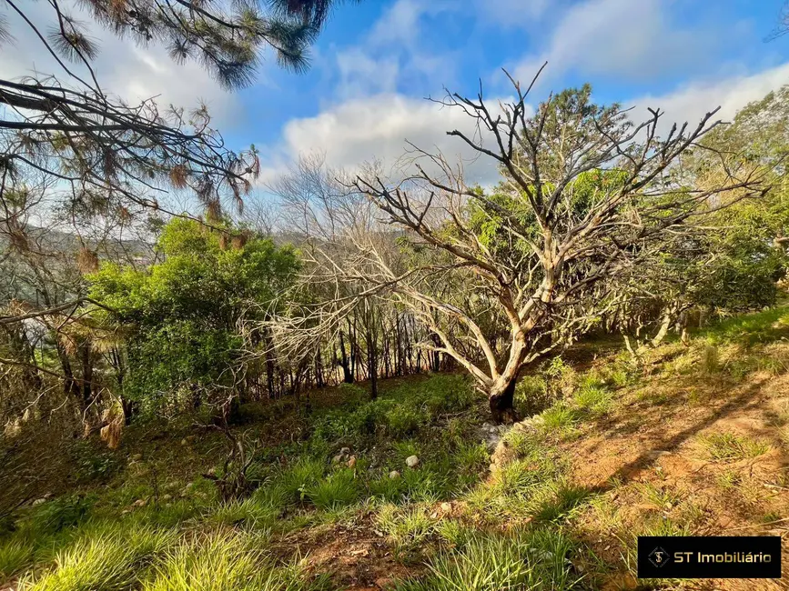 Foto 8 de Chácara com 3 quartos à venda, 5114m2 em Mairipora - SP