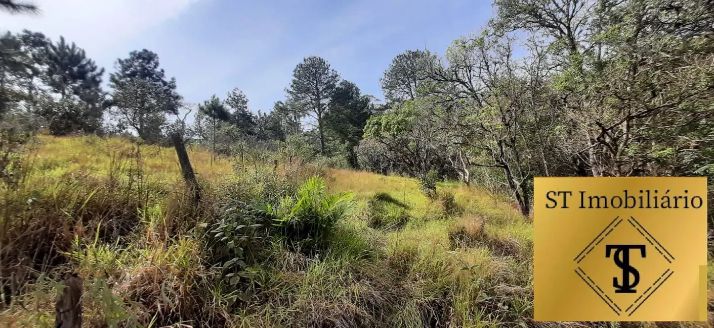 Foto 9 de Sítio / Rancho com 3 quartos à venda, 72000m2 em Estância Santa Maria do Portão, Atibaia - SP
