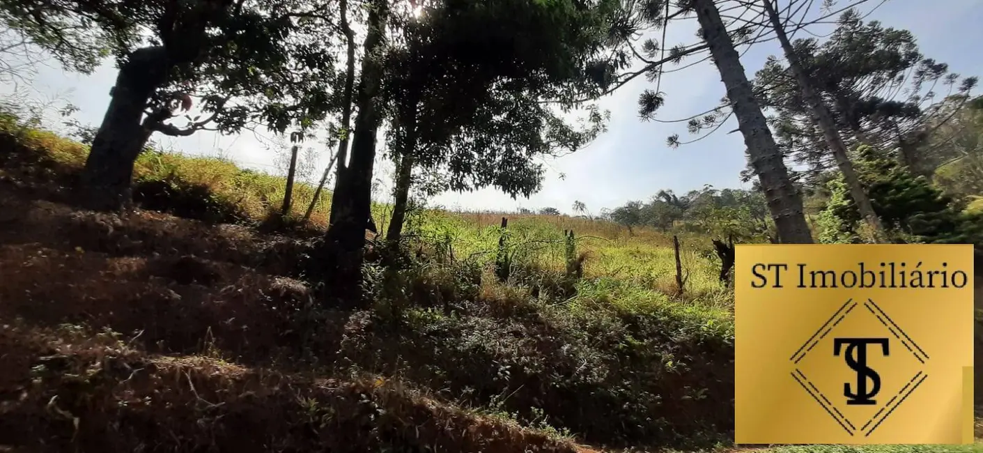 Foto 6 de Sítio / Rancho com 3 quartos à venda, 72000m2 em Estância Santa Maria do Portão, Atibaia - SP