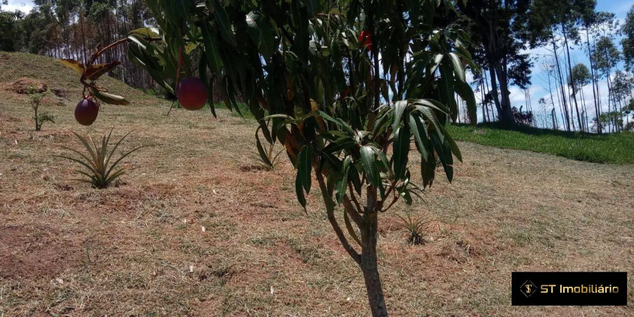 Foto 7 de Terreno / Lote para alugar, 7800m2 em Mairipora - SP