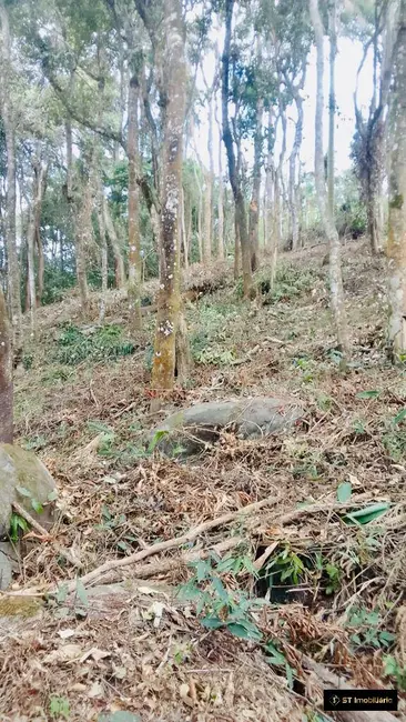 Foto 4 de Terreno / Lote à venda, 1085m2 em Mairipora - SP