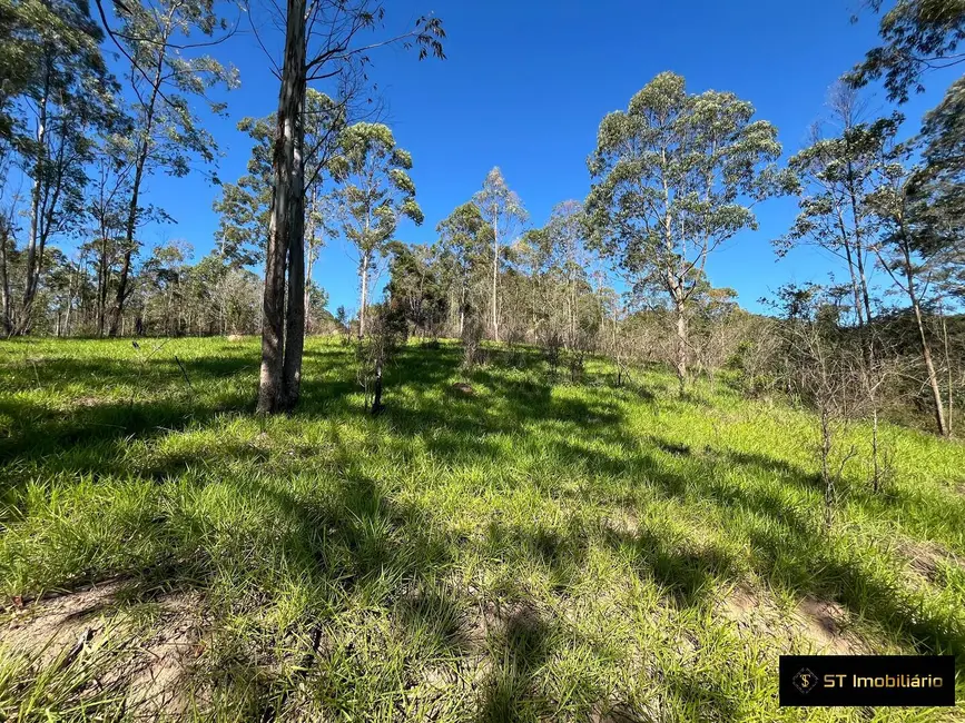 Foto 6 de Chácara com 3 quartos à venda, 25000m2 em Atibaia - SP