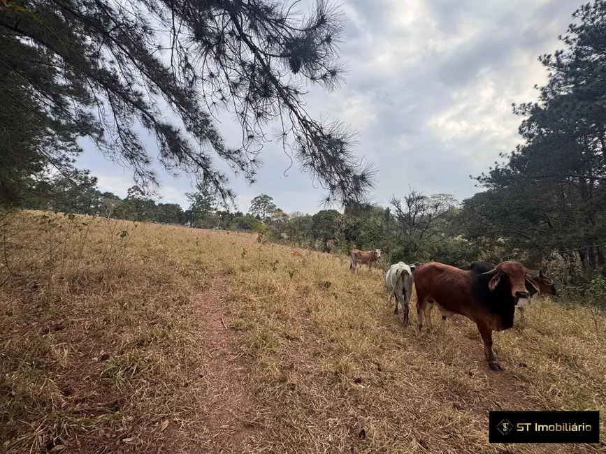 Foto 8 de Sítio / Rancho com 4 quartos à venda, 193600m2 em Ponte Alta, Atibaia - SP