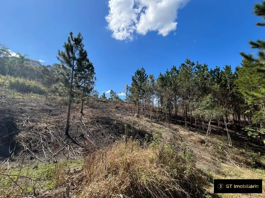 Foto 9 de Terreno / Lote à venda, 11000m2 em Mairipora - SP