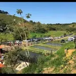 Imagem 16