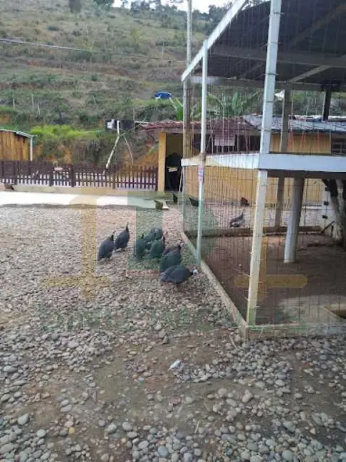 Sítio / Rancho à venda em Itatiaia - RJ - imagem 15 Foto 15 de Sítio / Rancho à venda em Itatiaia - RJ