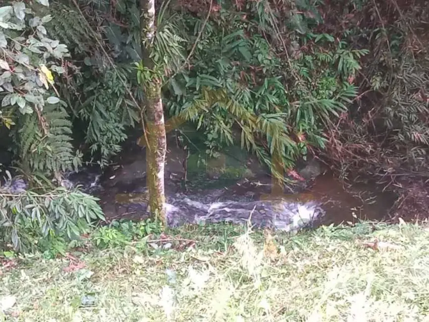 Terreno / Lote à venda, 2000m2 em Resende - RJ - imagem 3 Foto 3 de Terreno / Lote à venda, 2000m2 em Resende - RJ