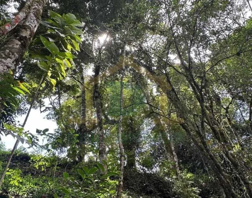 Foto 29 de Terreno / Lote à venda em Resende - RJ