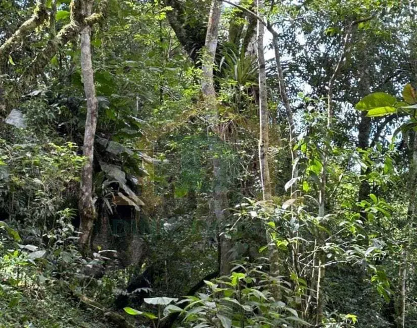 Foto 21 de Terreno / Lote à venda em Resende - RJ