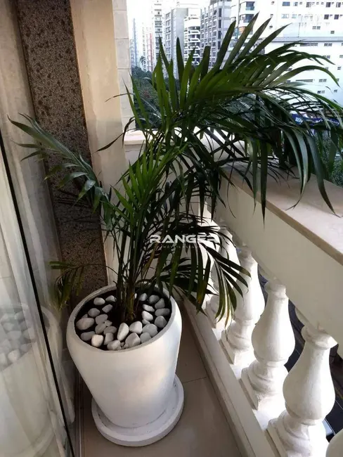 Foto 9 de Apartamento com 5 quartos à venda, 350m2 em Boqueirão, Santos - SP