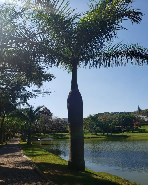 Foto 3 de Terreno / Lote à venda, 840m2 em Itupeva - SP