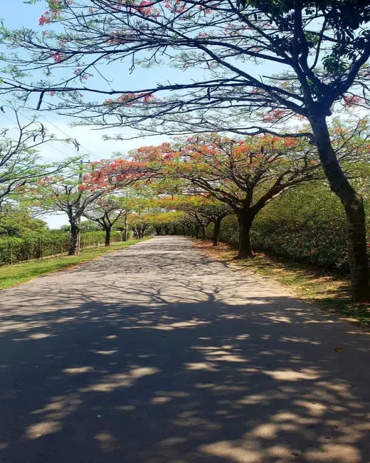 Foto 4 de Terreno / Lote à venda, 840m2 em Itupeva - SP