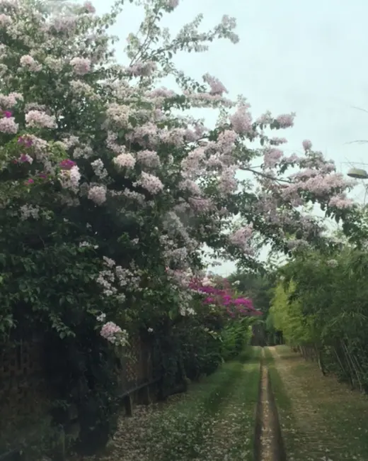 Foto 3 de Chácara com 3 quartos à venda, 425m2 em Medeiros, Jundiai - SP