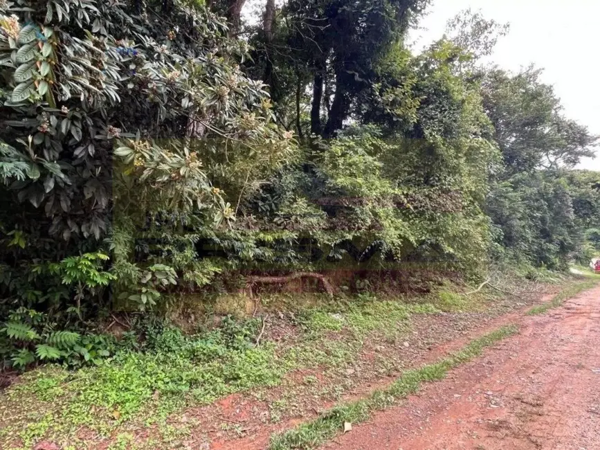 Foto 3 de Terreno / Lote à venda, 2000m2 em Ponunduva, Cajamar - SP