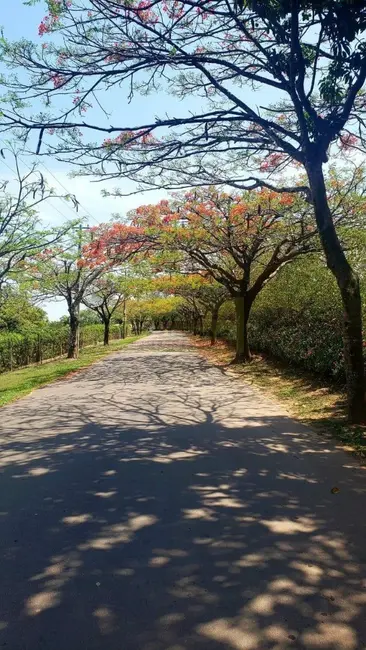 Foto 6 de Terreno / Lote à venda, 2300m2 em Itupeva - SP