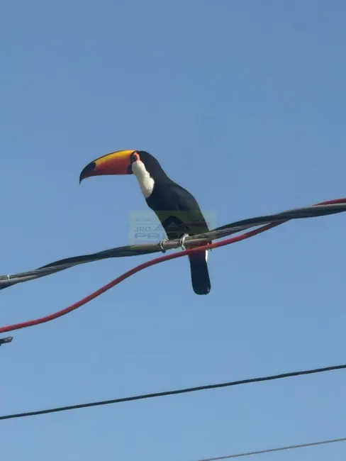 Foto 8 de Terreno / Lote à venda, 1131m2 em Itupeva - SP