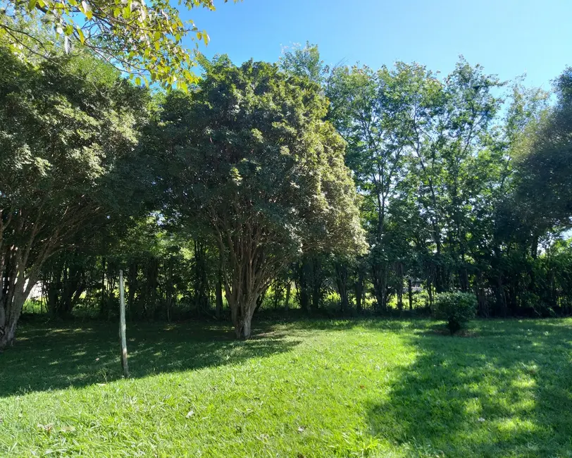 Foto 2 de Sítio / Rancho com 4 quartos à venda, 8535m2 em Itupeva - SP