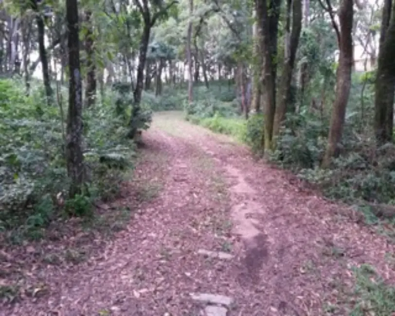 Foto 6 de Sítio / Rancho com 4 quartos à venda, 8535m2 em Itupeva - SP