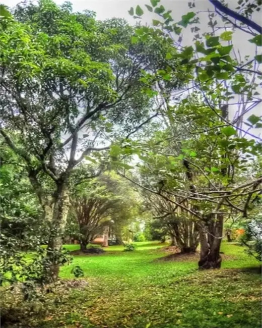 Foto 8 de Sítio / Rancho com 4 quartos à venda, 450m2 em Itupeva - SP