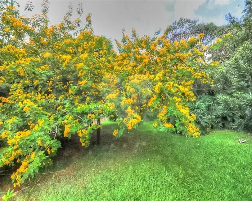 Foto 7 de Sítio / Rancho com 4 quartos à venda, 450m2 em Itupeva - SP