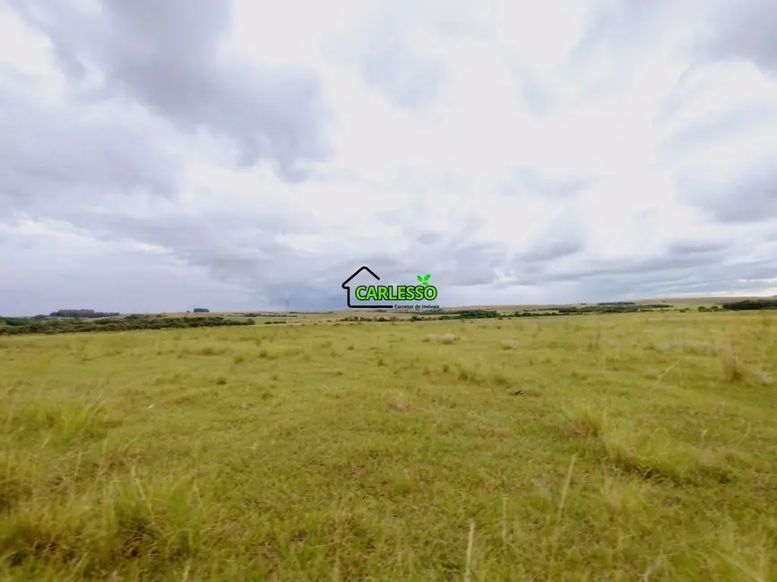 Foto 5 de Fazenda / Haras com 2 quartos à venda, 100m2 em Área Rural de Alegrete, Alegrete - RS