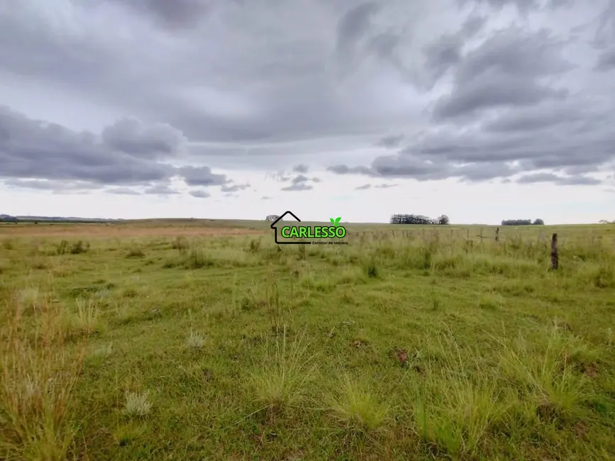 Foto 7 de Fazenda / Haras com 2 quartos à venda, 100m2 em Área Rural de Alegrete, Alegrete - RS