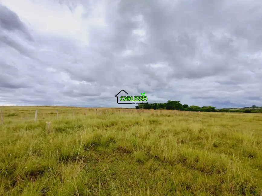 Foto 6 de Fazenda / Haras com 2 quartos à venda, 100m2 em Área Rural de Alegrete, Alegrete - RS