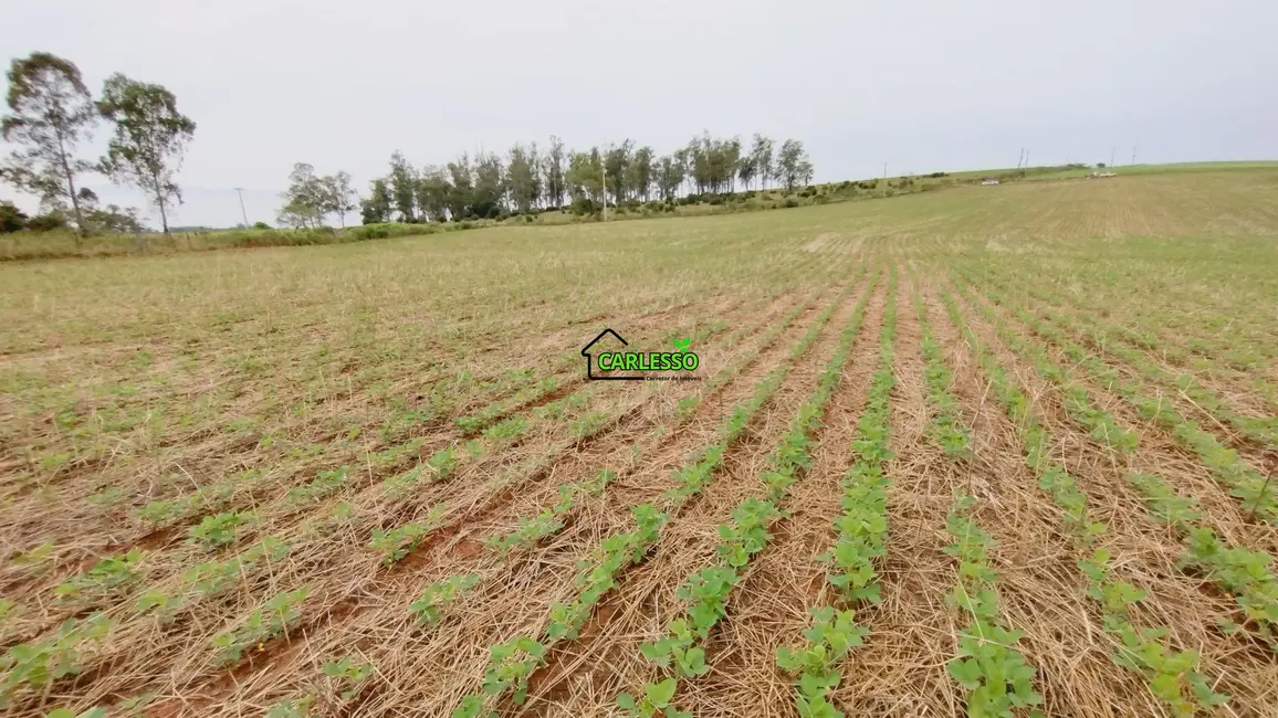 Foto 5 de Fazenda / Haras com 2 quartos à venda, 100m2 em Sao Pedro Do Sul - RS