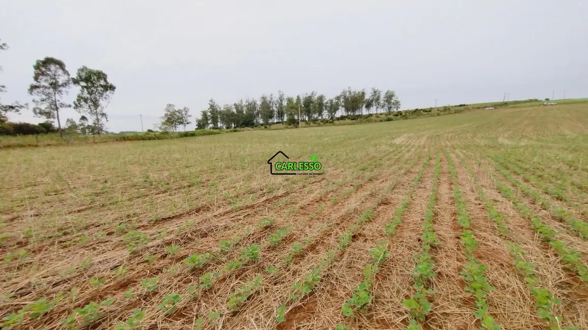 Foto 3 de Fazenda / Haras com 2 quartos à venda, 100m2 em Sao Pedro Do Sul - RS