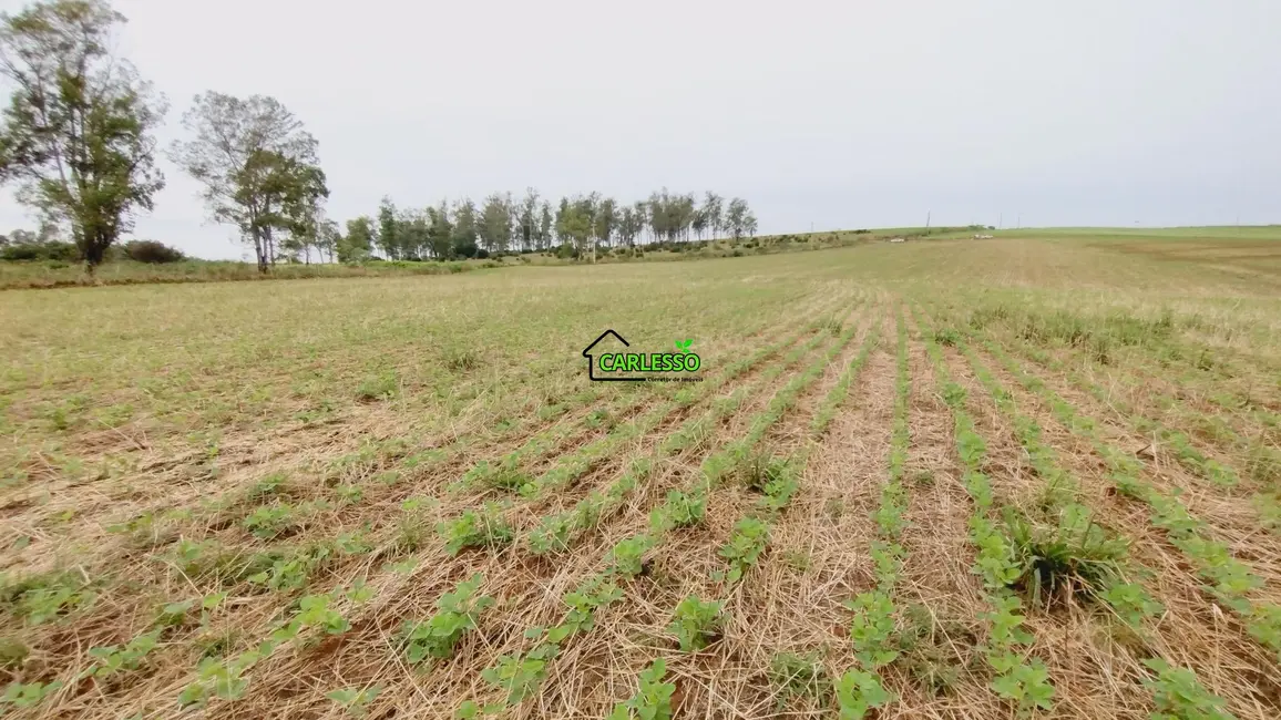 Foto 7 de Fazenda / Haras com 2 quartos à venda, 100m2 em Sao Pedro Do Sul - RS