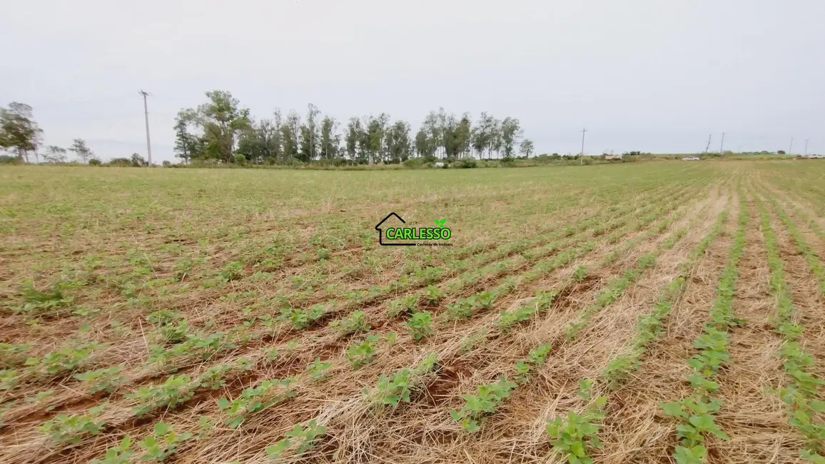 Foto 2 de Fazenda / Haras com 2 quartos à venda, 100m2 em Sao Pedro Do Sul - RS