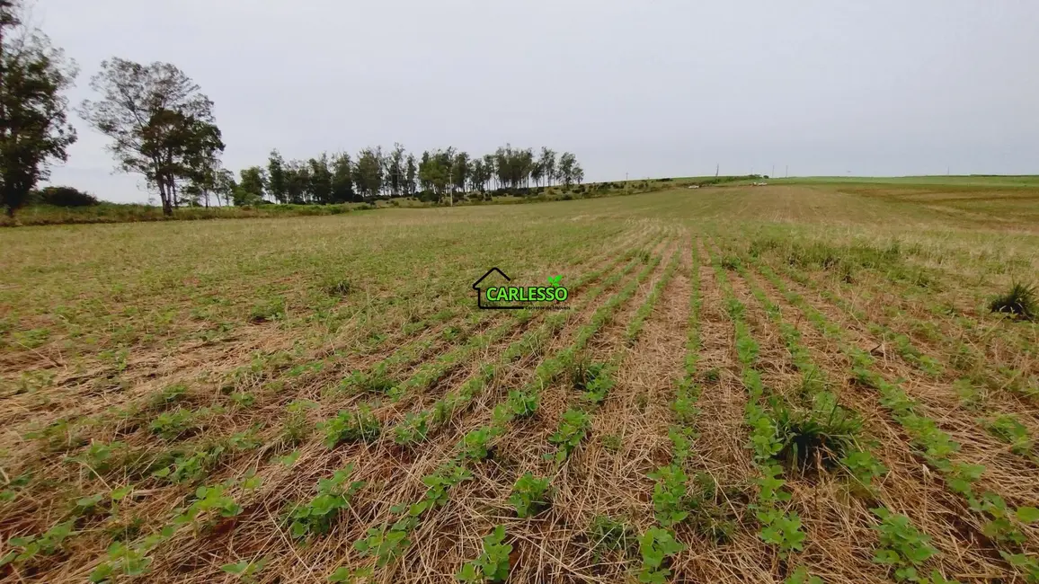 Foto 8 de Fazenda / Haras com 2 quartos à venda, 100m2 em Sao Pedro Do Sul - RS