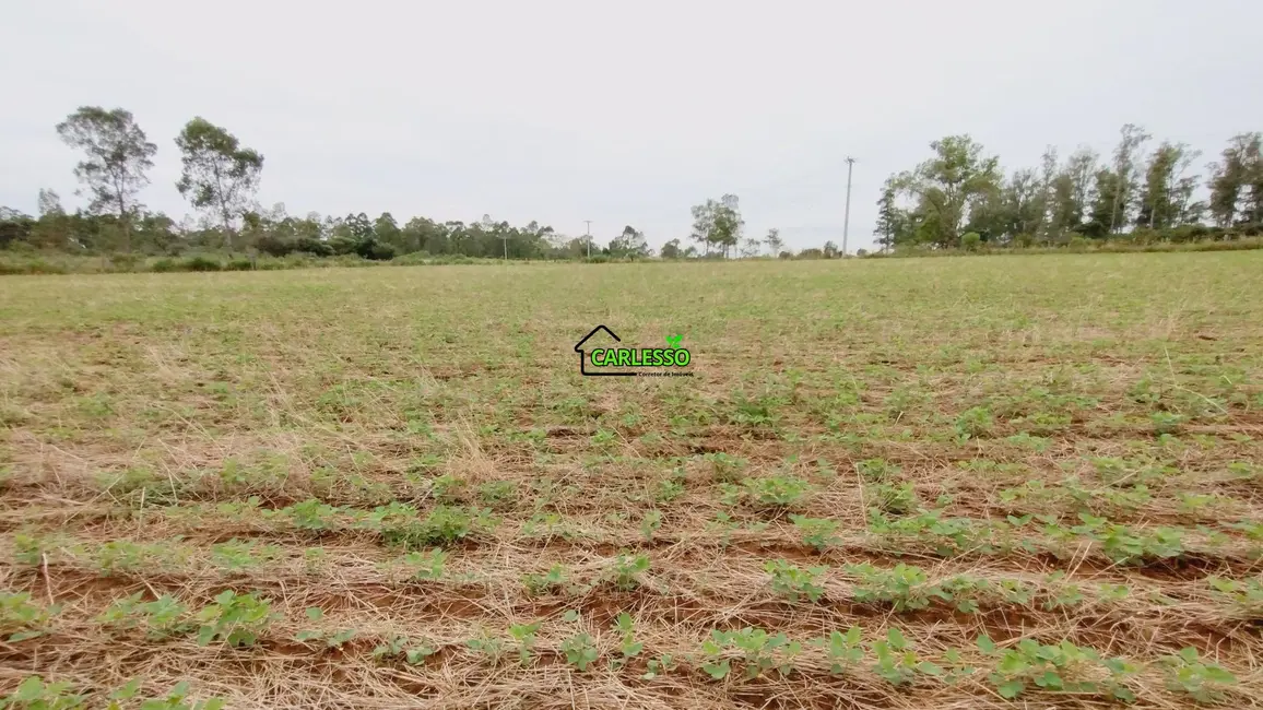 Foto 1 de Fazenda / Haras com 2 quartos à venda, 100m2 em Sao Pedro Do Sul - RS