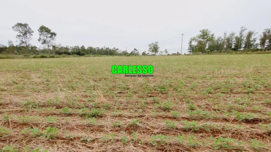 Foto 1 de Fazenda / Haras à venda, 150000m2 em Sao Pedro Do Sul - RS