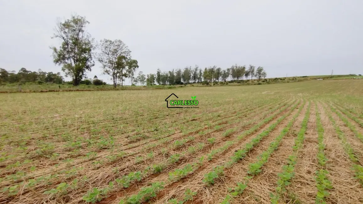 Foto 6 de Fazenda / Haras com 2 quartos à venda, 100m2 em Sao Pedro Do Sul - RS