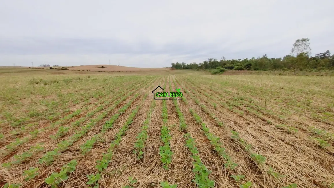 Foto 4 de Fazenda / Haras com 2 quartos à venda, 100m2 em Sao Pedro Do Sul - RS