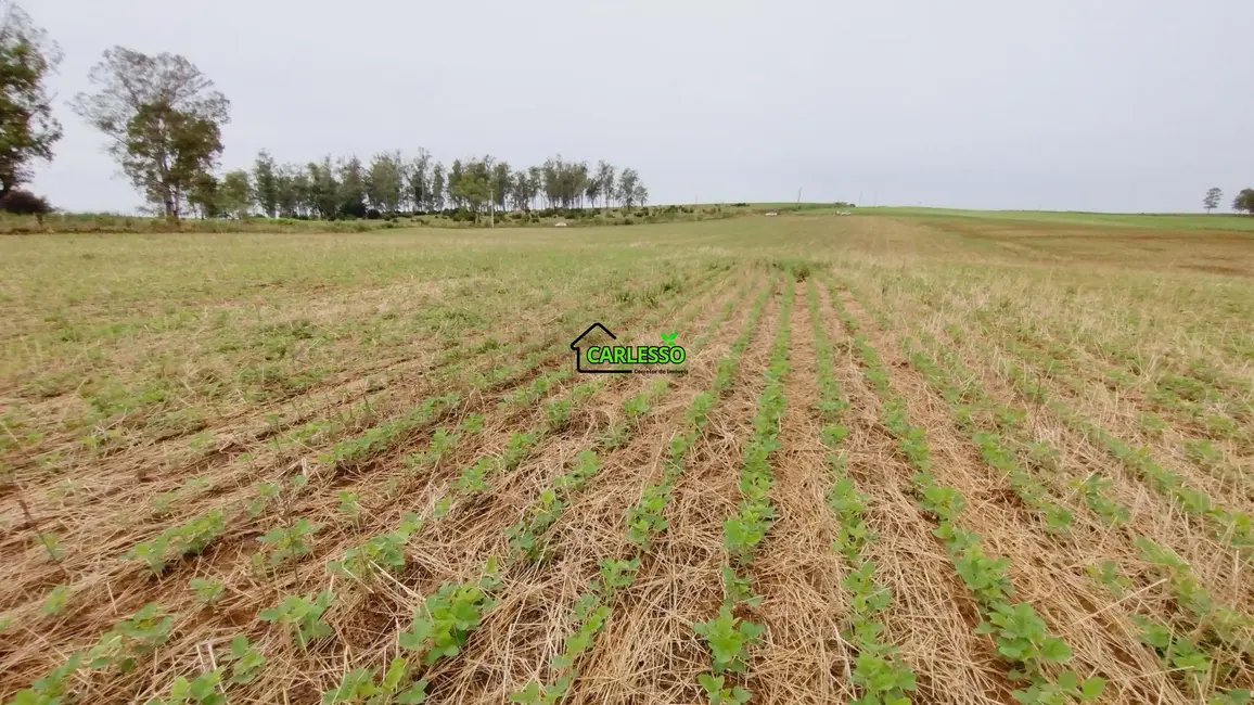 Foto 9 de Fazenda / Haras com 2 quartos à venda, 100m2 em Sao Pedro Do Sul - RS