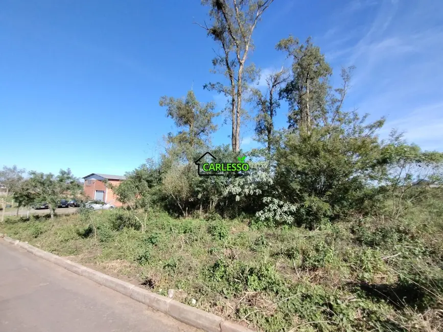 Foto 6 de Terreno / Lote à venda, 1500m2 em Diácono João Luiz Pozzobon, Santa Maria - RS