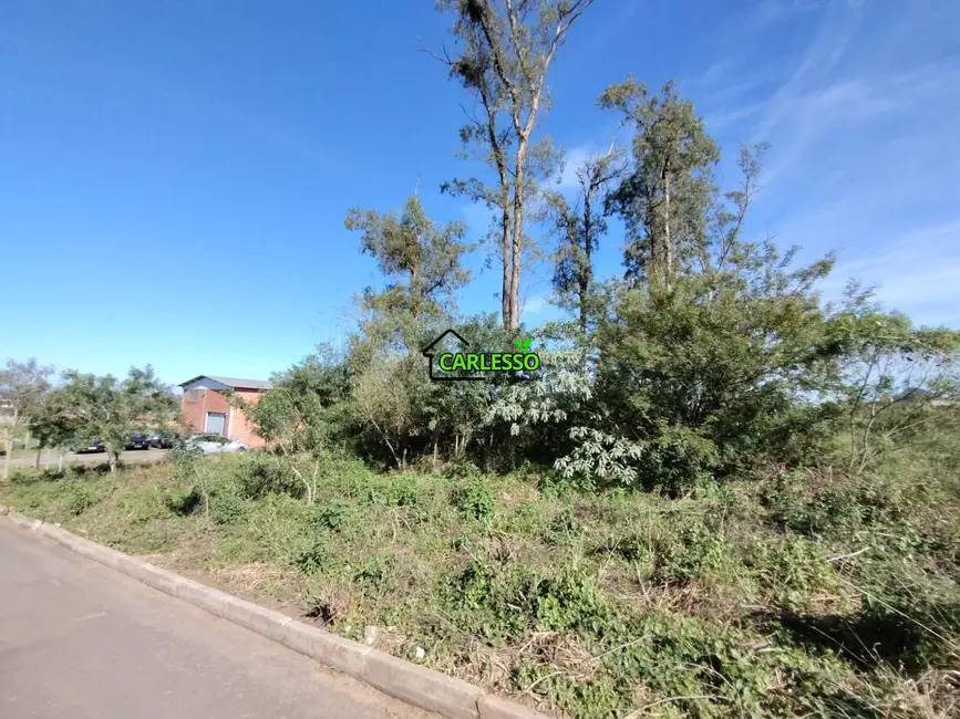 Foto 5 de Terreno / Lote à venda, 1500m2 em Diácono João Luiz Pozzobon, Santa Maria - RS