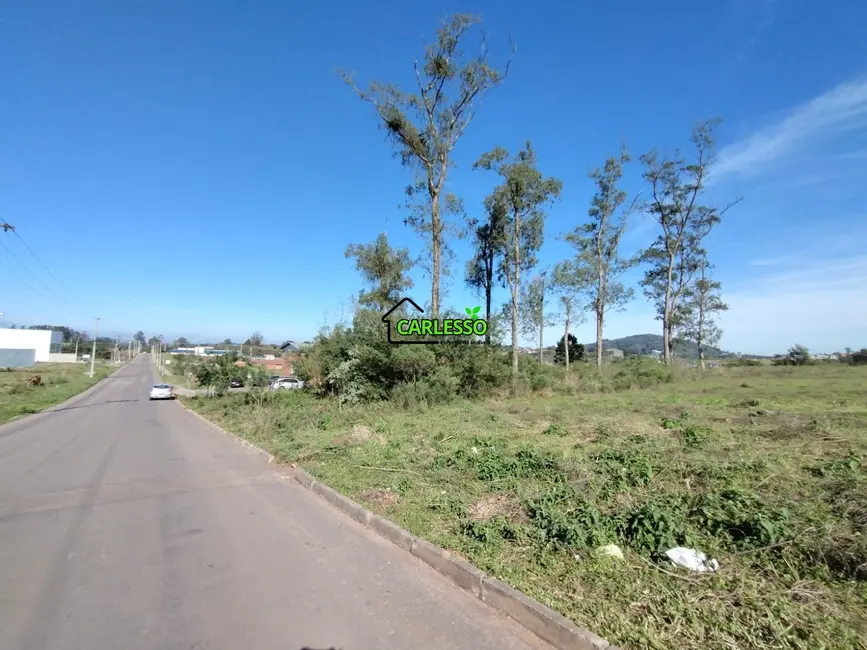 Foto 3 de Terreno / Lote à venda, 1500m2 em Diácono João Luiz Pozzobon, Santa Maria - RS